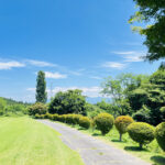 庭の剪定